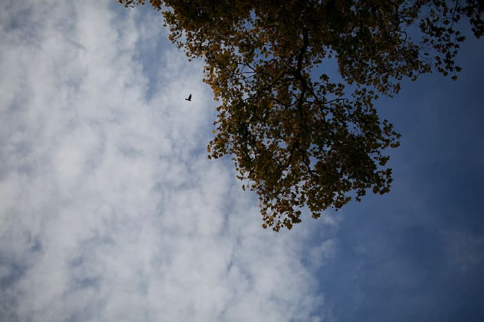 20111024_Muscara_London Family Photographer_02