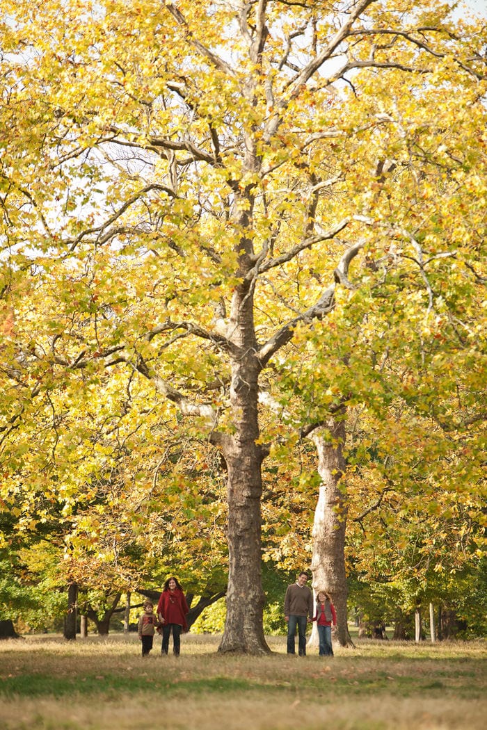 20111024_Muscara_London Family Photographer_03