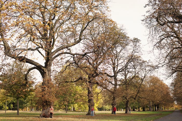 20111024_Muscara_London Family Photographer_14