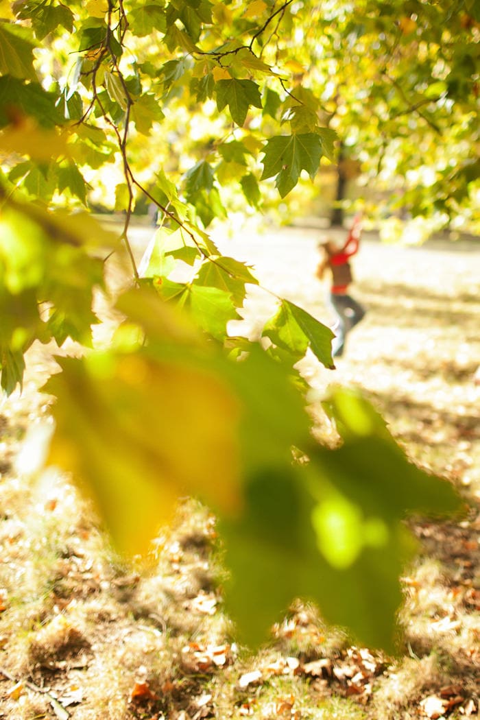 20111024_Muscara_London Family Photographer_26