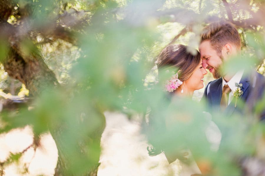 Creative Victoria Wedding Photographer Creative Victoria Wedding Photographer