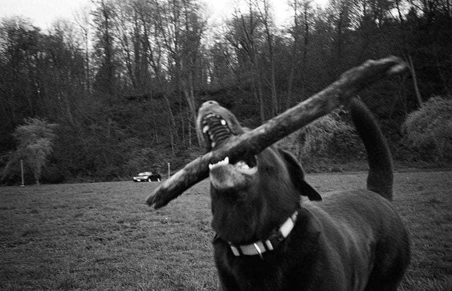 LeicaStreetPhotographer004