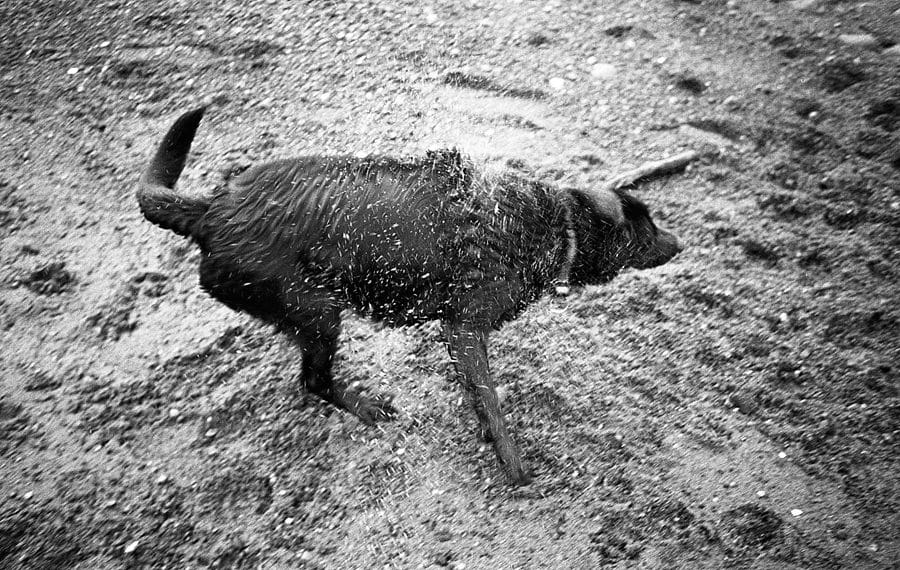 LeicaStreetPhotographer006