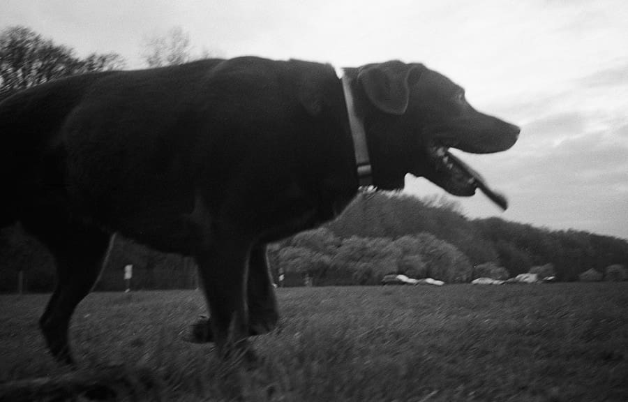 LeicaStreetPhotographer009