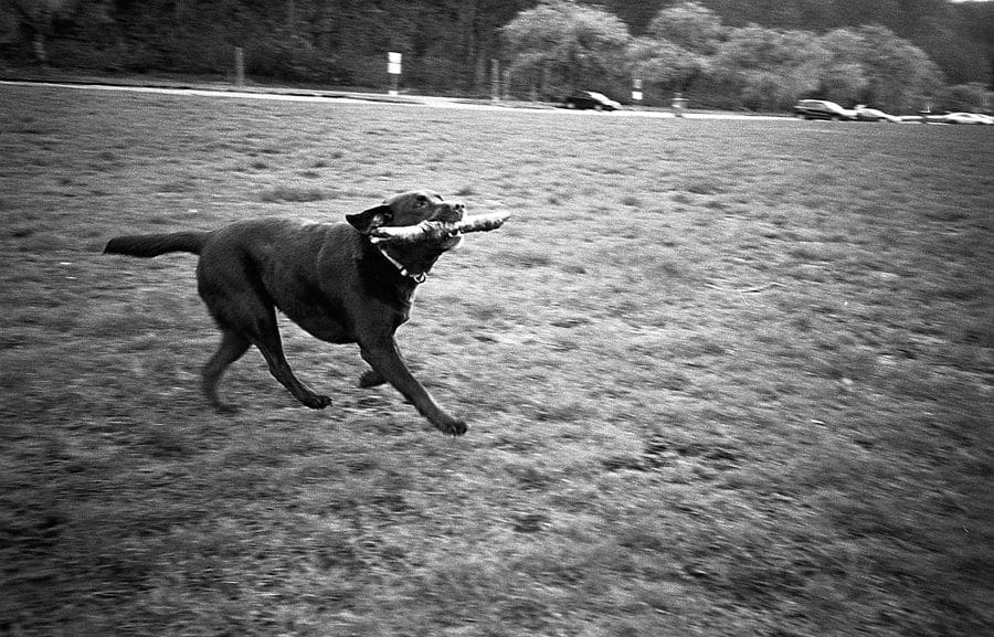 LeicaStreetPhotographer010
