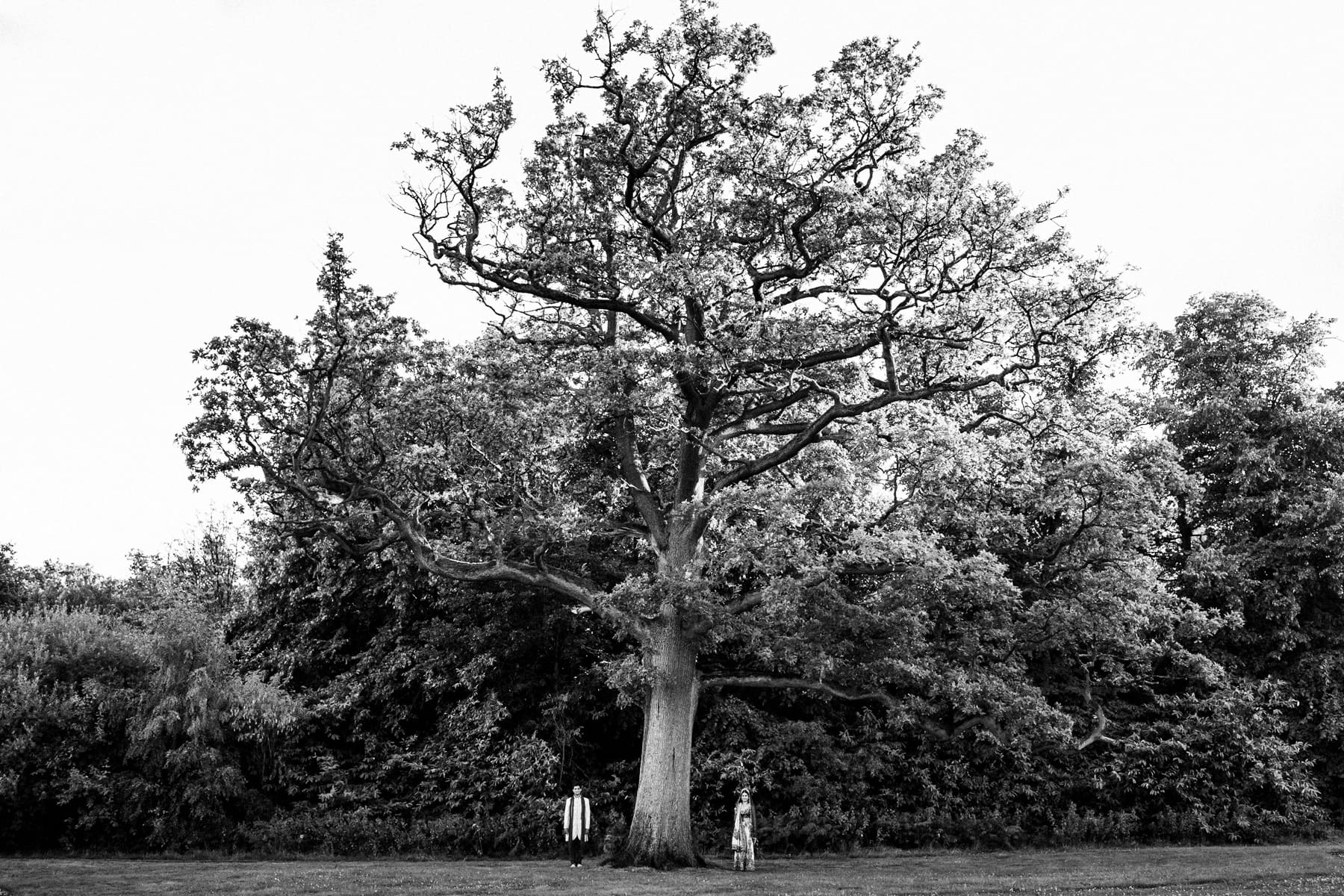 Asian Wedding Photographer London Epic Tree