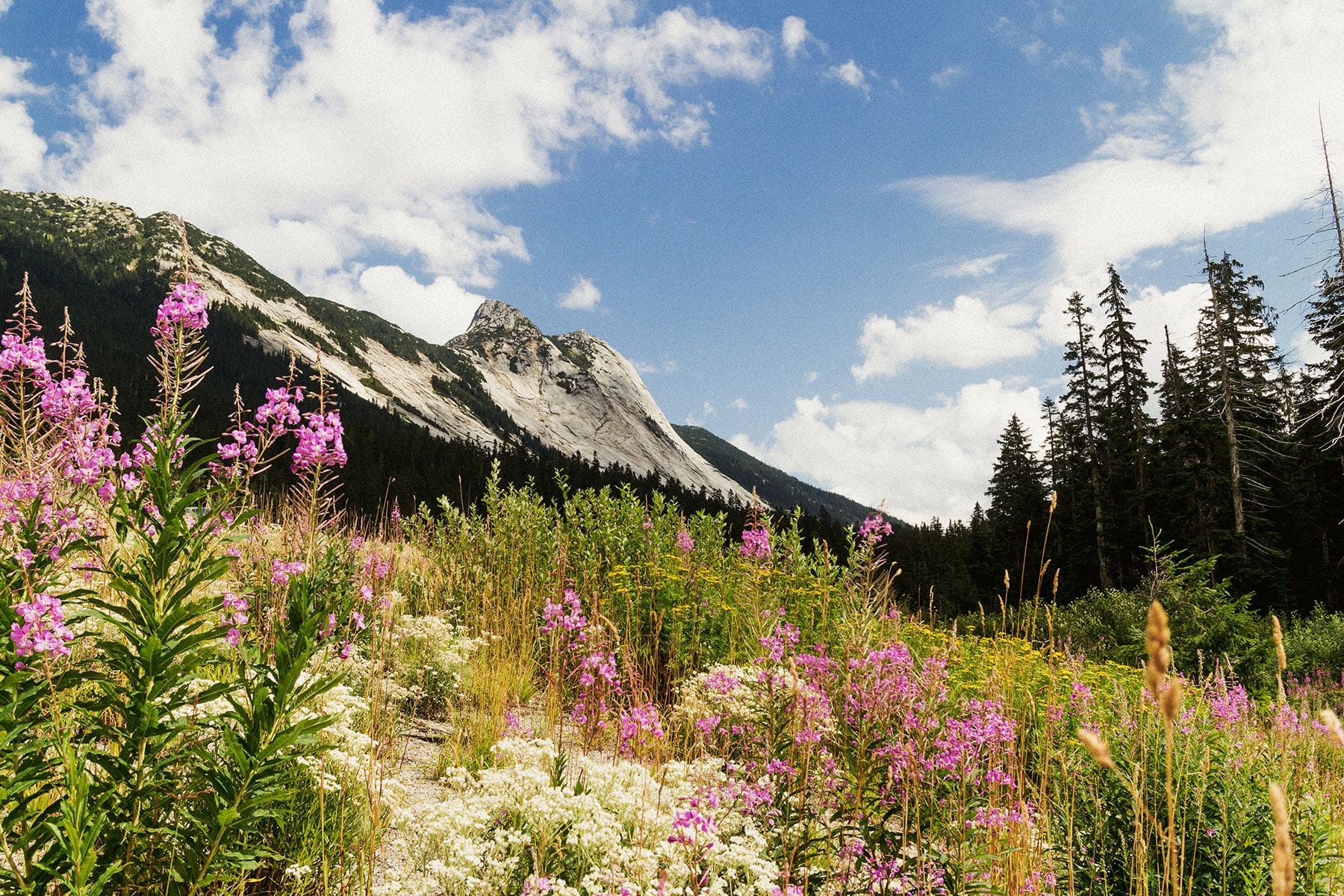 Beautiful British Columbia
