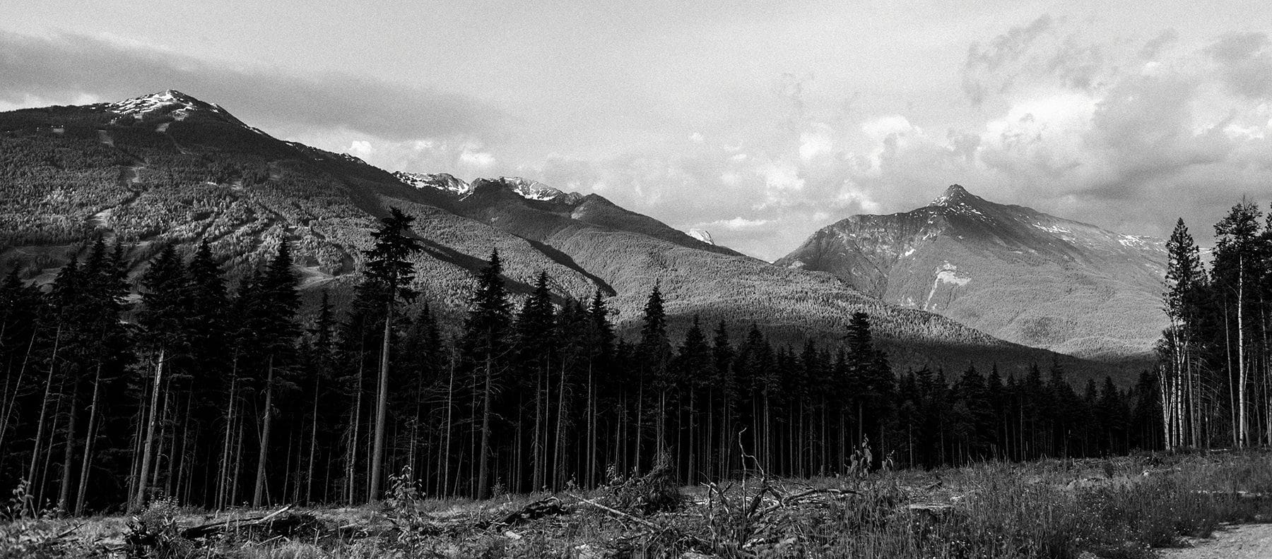 Revelstoke Wedding